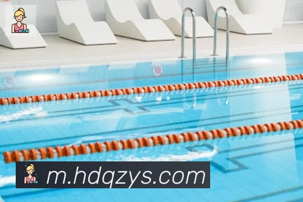 开云官方手机网页版APP 封面图