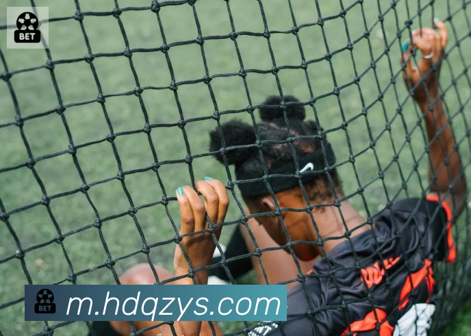 开云官方手机网页版荣誉