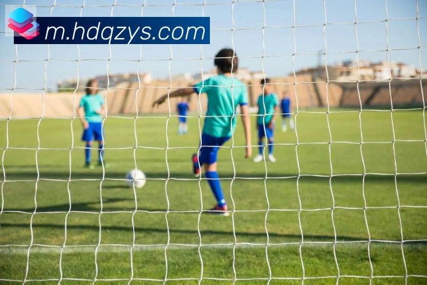 开云官方手机网页版荣誉