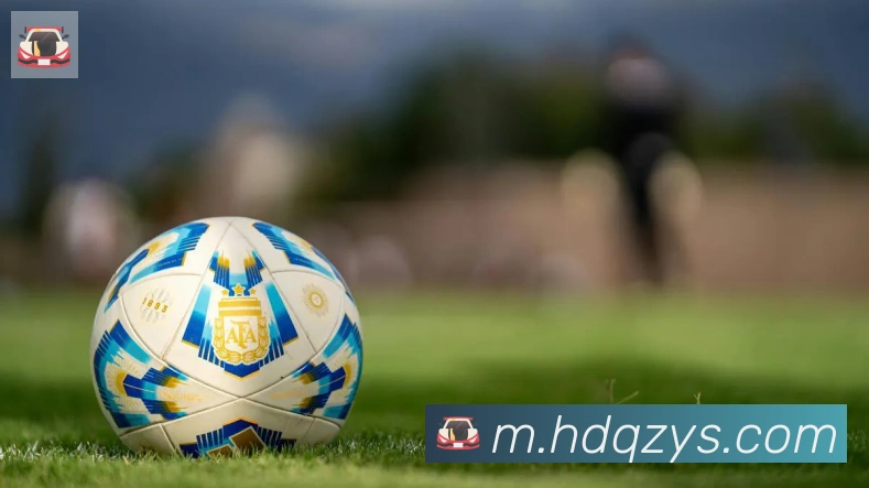 开云官方手机网页版荣誉