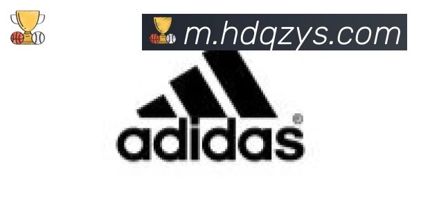 开云官方手机网页版合作伙伴