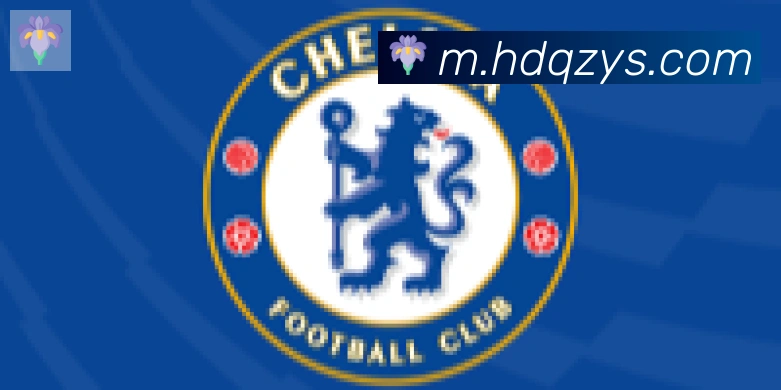 开云官方手机网页版合作伙伴